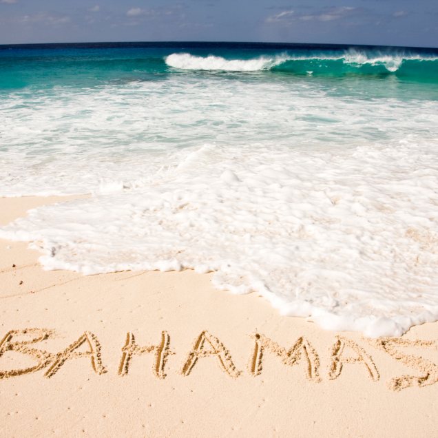 Grand Bahama Island Adventure | MLK Day Weekend 2025 Jan 16th- 20th